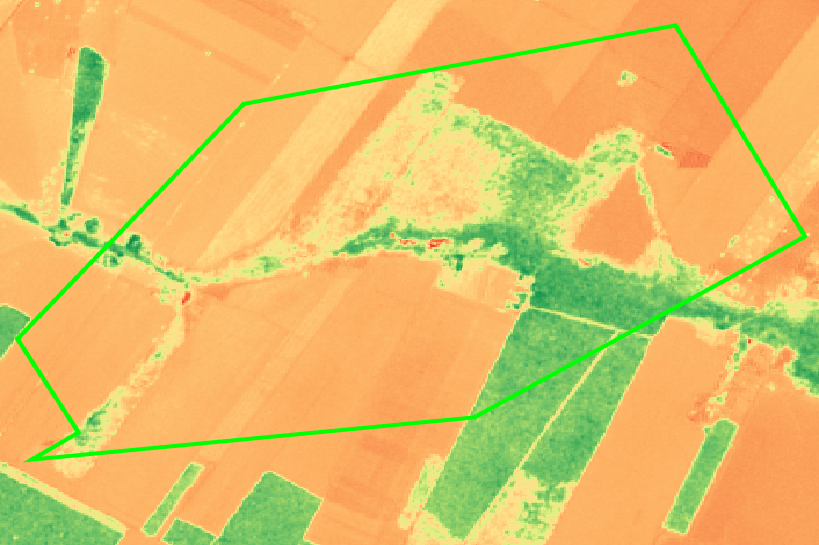 NDVI